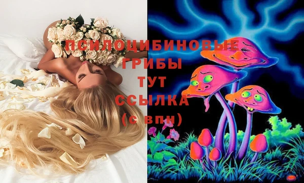 герыч Новокубанск