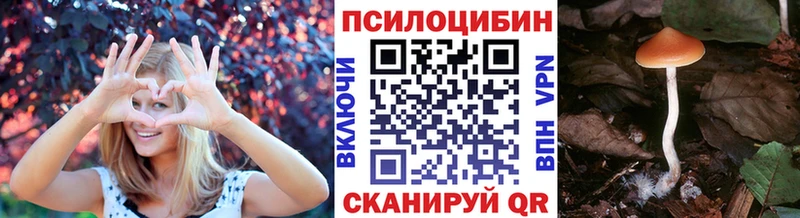 Купить где  Городовиковск  Галлюциногенные грибы Psilocybine cubensis 